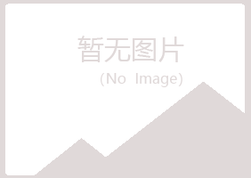 西陵区女孩会计有限公司